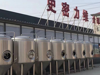 佛山精酿啤酒设备厂—市场规模与跨界新需求